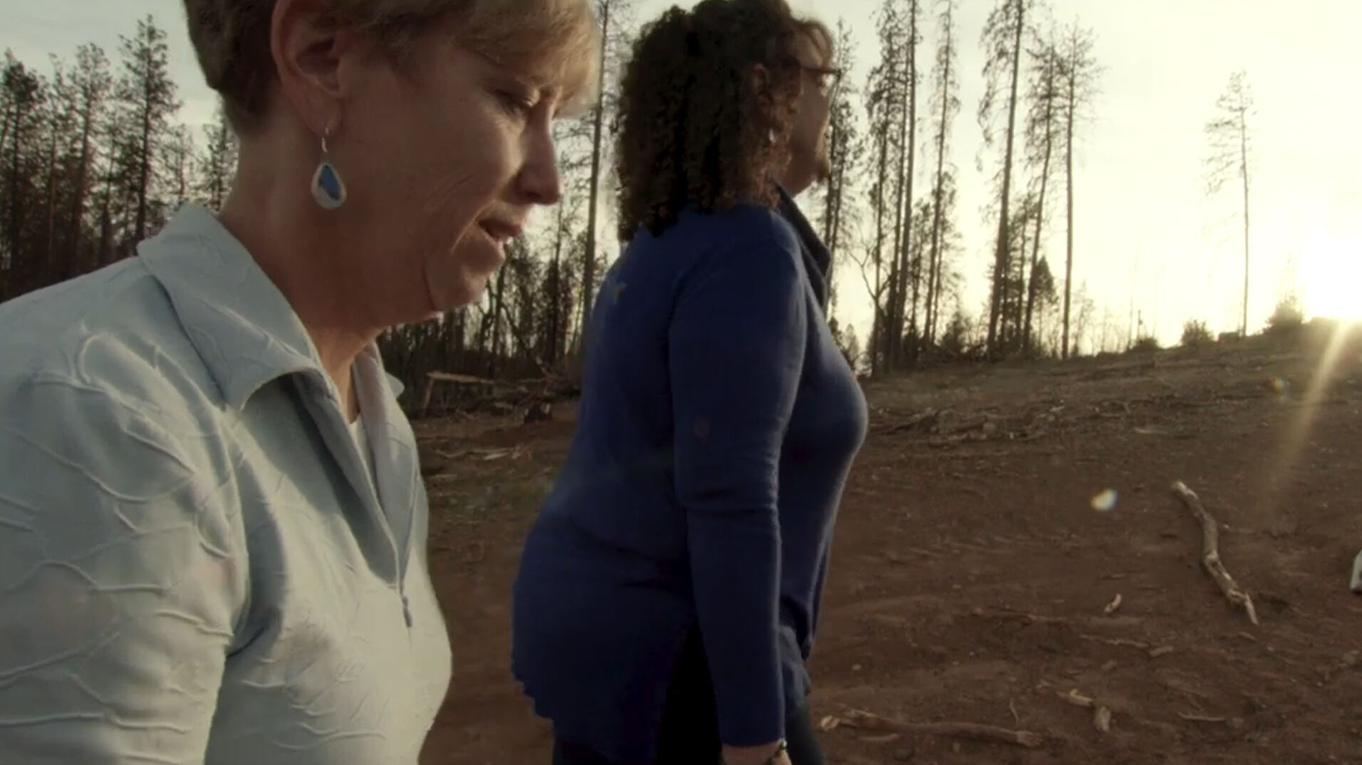 Images & Video Gallery Hudson